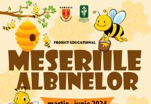 Proiect educațional la Complexul Muzeal de Ştiinţele Naturii