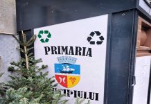 Gălățeni, nu uitați! Municipalitatea reciclează brazii de Crăciun, așa că lăsați-i la punctele de colectare a deșeurilor