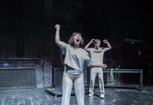 Trei spectacole în acest weekend la Teatrul Dramatic „Fani Tardini”