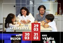 Patru spectacole în acest weekend la Teatrul Dramatic „Fani Tardini”