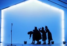 Trei spectacole în acest weekend la Teatrul Dramatic „Fani Tardini