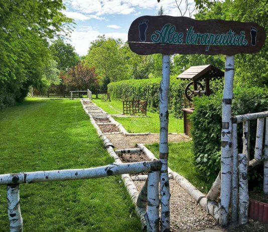 Se redeschid două zone tematice la Grădina Botanică Galați: Grădina Senzorilaă și Botanica Distractivă