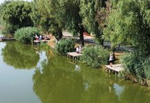 Concurs sportiv pentru persoanele cu dizabilități locomotorii, la Balta Zătun