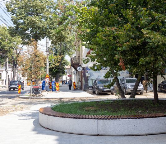 Ionuț Pucheanu: ”Strada Domnească este în plină modernizare”