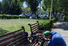 Echipele Gospodărire Urbană, mobilizate pentru curățenie în cimitire, întreținerea mobilierului stradal și delimitarea zonelor dintre blocuri