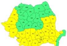 COD GALBEN de CANICULĂ