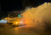 Ecosal începe o nouă dezinsecție la comanda Primăriei