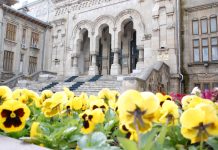 Calendarul de evenimente în săptămâna 15-19 iulie la Universitatea Dunărea de Jos