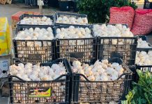 Descoperă Piața Calea Basarabiei – Singura Piață Angro din Galați!