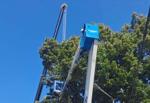 Gospodărire Urbană continuă să fasoneze copacii din oraș