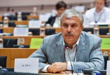 Europarlamentarul Dan Nica îl dă în judecată pe George Simion