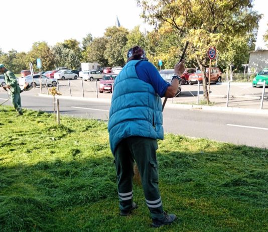 Fasonări și lucrări de întreținere a spațiilor verzi