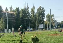 Echipele Gospodărire Urbană, în cartiere pentru întreținerea spațiilor verzi