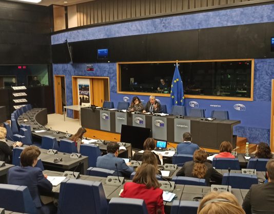 Manipularea pieței de energie, în dezbaterea Parlamentului European