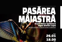 Spectacolul ”Pasărea Măiastră” revine la Teatrul Gulliver