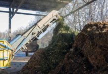 Brazii de sărbători, reciclați de municipalitate. Lăsați pomii de Crăciun la punctele de colectare a deșeurilor