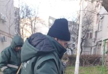 Gospodărire Urbană continuă activitățile de întreținere a spațiilor verzi