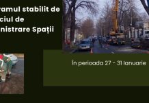 În ce zone lucrează Gospodărire Urbană, săptămâna aceasta, pentru întreținerea spațiilor verzi