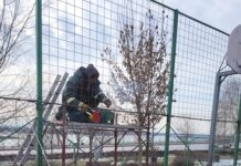 Gospodărire Urbană: „Echipele noastre sunt active pentru a menține și a îmbunătăți spațiile publice din oraș”