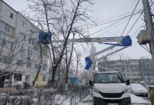 Gospodărire Urbană, în cartiere pentru fasonarea arborilor și tăierea copacilor uscați
