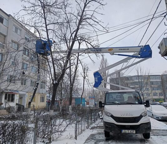 Gospodărire Urbană, în cartiere pentru fasonarea arborilor și tăierea copacilor uscați