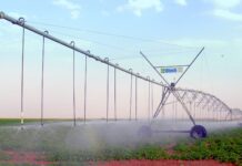 Fraudă cu bani europeni de peste 2,5 milioane de euro