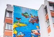 Galațiul frumos. Trei organizații non-guvernamentale din Galați și-au dat mâna într-un proiect menit să facă orașul mai curat