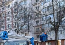 Gospodărire Urbană acționează în tot orașul pentru fasonări și tăierea copacilor uscați