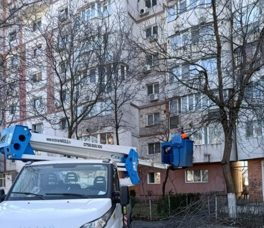 Gospodărire Urbană acționează în tot orașul pentru fasonări și tăierea copacilor uscați