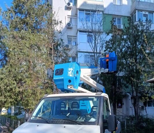 Fasonări de arbori și tăieri de copaci uscați, în mai multe zone ale orașului