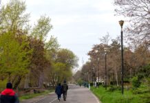 O nouă ediție a Festivalului Scrumbiei, de Florii