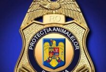 Dosar penal într-un caz de violență asupra animalelor