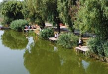 Liber la pescuit! S-a deschis Balta Zătun