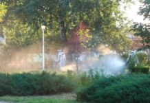 Joi seară, dezinsecție în parcuri și pe Faleză