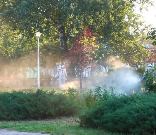 Joi seară, dezinsecție în parcuri și pe Faleză