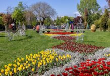 Evenimentele weekend-ului, la Galați. Primarul Ionuț Pucheanu vă invită la festival, teatru și concerte