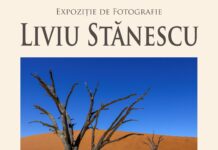 Vernisaj la Muzeul de Artă Vizuală