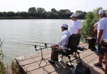 Fir întins la Balta Zătun