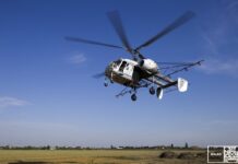 Primăria pregătește o nouă etapă de dezinsecție. Se va interveni aerian și la sol