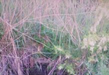 Un copil a murit înecat într-un puț cu apă