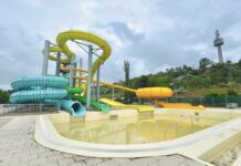 Plaja Dunărea se va redeschide săptămâna viitoare!