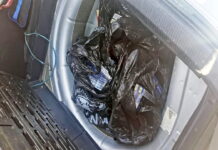 Tânără amendată cu 20.000 lei, după ce în mașină i-au fost desoperite țigări din Republica Moldova