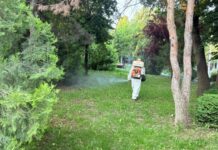 Dezinsecție, în perioada 10 – 13 iunie