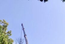 Echipele Gospodărire Urbană, în cartiere pentru fasonări