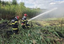 Incendiu de vegetație uscată la Balta Cătușa