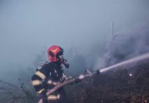Incendiu la groapa de gunoi din Șendreni