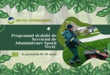 Program. Iată în ce zone acționează Gospodărire Urbană pentru întreținerea spațiilor verzi