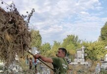 Gospodărire Urbană continuă campania de curățenie în cimitire