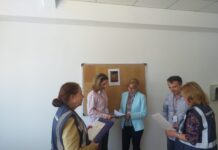 Acțiuni ale inspectorilor de muncă pe piața produselor industriale