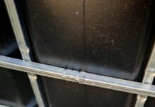 Intervenție a jandarmilor după apariția unui șarpe într-o curte